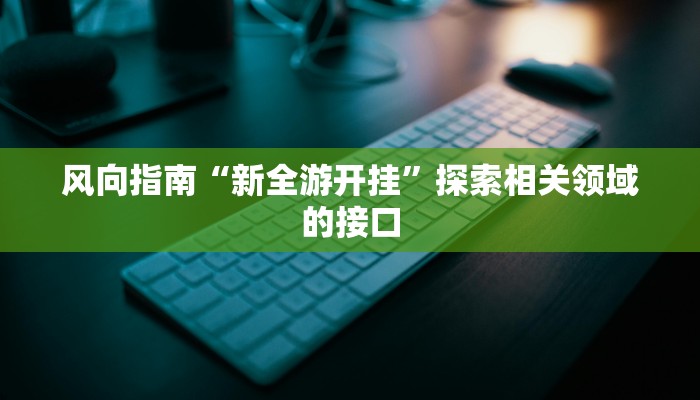 深度解析“新玄龙有挂吗”适用于小白的通俗解读