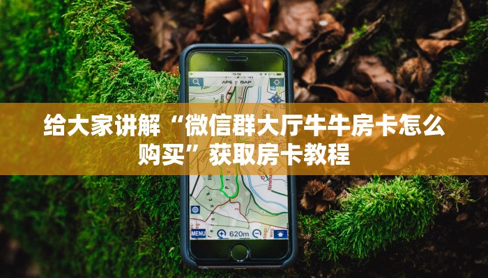 给大家讲解“微信群大厅牛牛房卡怎么购买”获取房卡教程