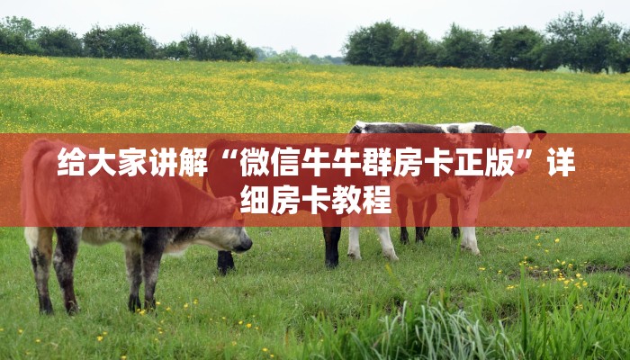 给大家讲解“微信牛牛群房卡正版”详细房卡教程