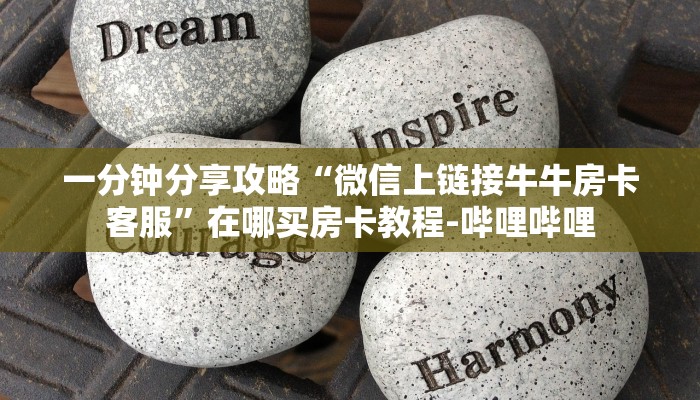 一分钟分享攻略“微信上链接牛牛房卡客服”在哪买房卡教程-哔哩哔哩