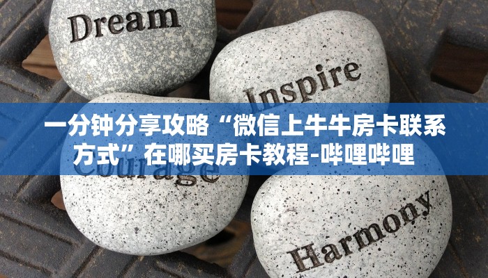 一分钟分享攻略“微信上牛牛房卡联系方式”在哪买房卡教程-哔哩哔哩